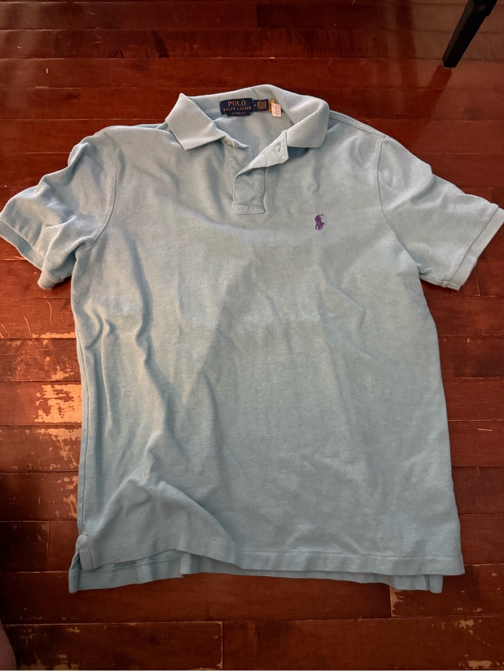 Polo by Ralph Lauren Sky Blue Polo with Purple Pony